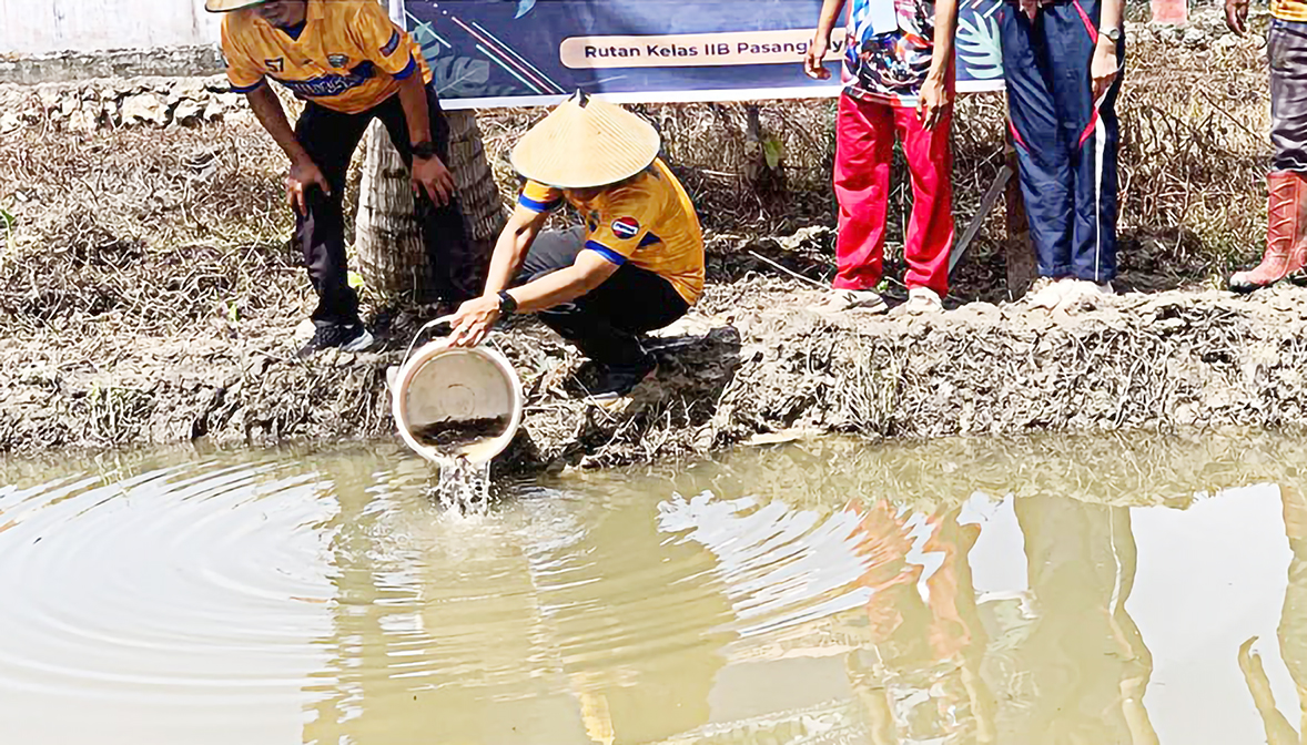 Pembinaan Kemandirian melalui Budidaya Ikan di Rutan Pasangkayu Karutan_Pasangkayu_Tebar_Benih_Lele_Bersama_Warga_Binaan.jpg